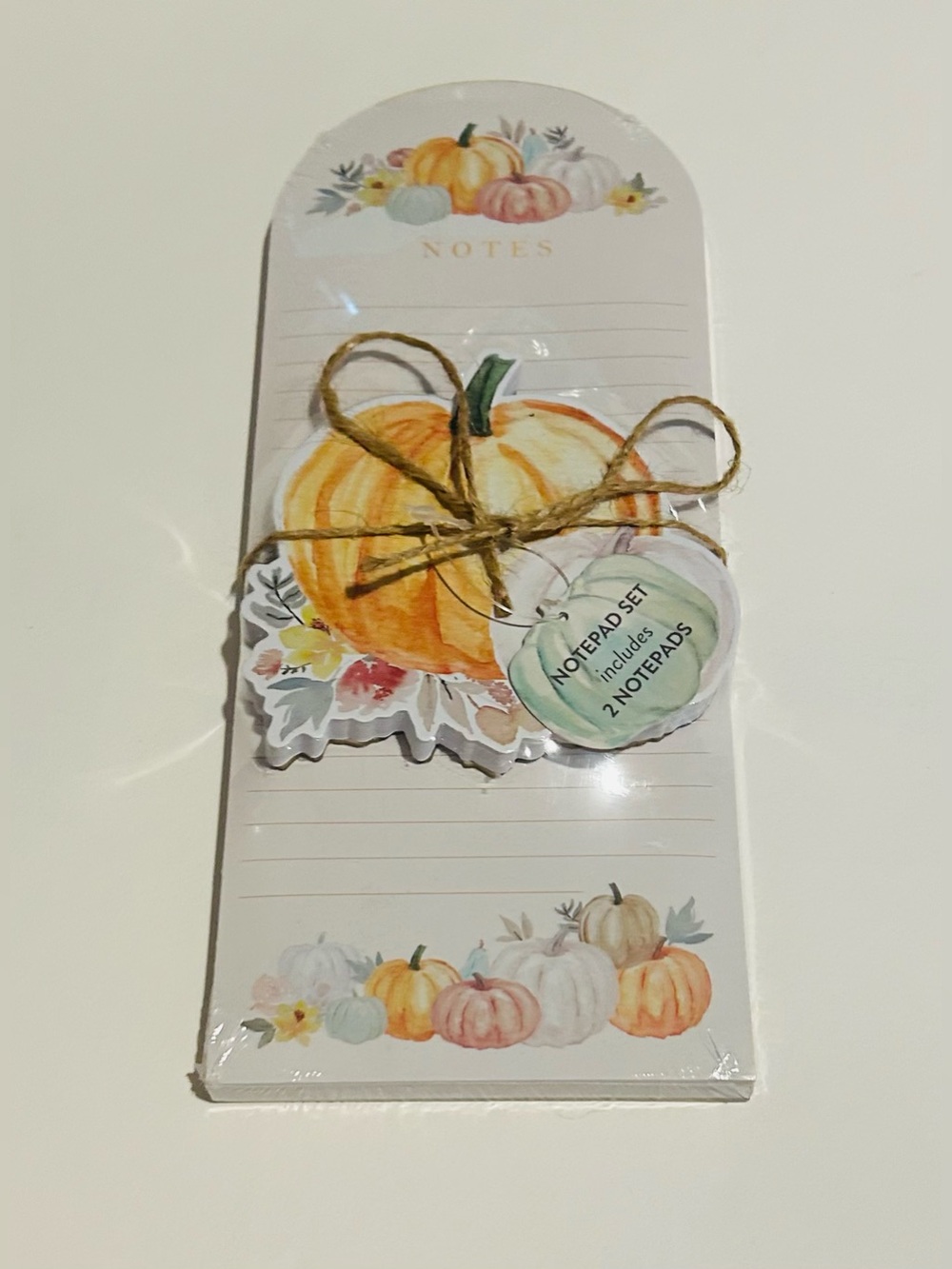 New Set of 2 Note Pads Fall Scene Pumpkins Eccolo made in Vietnam Lined